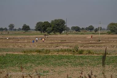 01 PKW-Reise_Jaipur-Fatehpur_Sikri_DSC5409_b_H600